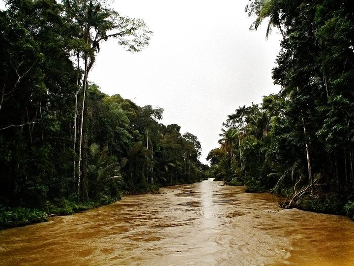 Rio Carauari no Estado do Amazonas. (Cortesia de Eduardo Rizzo) 