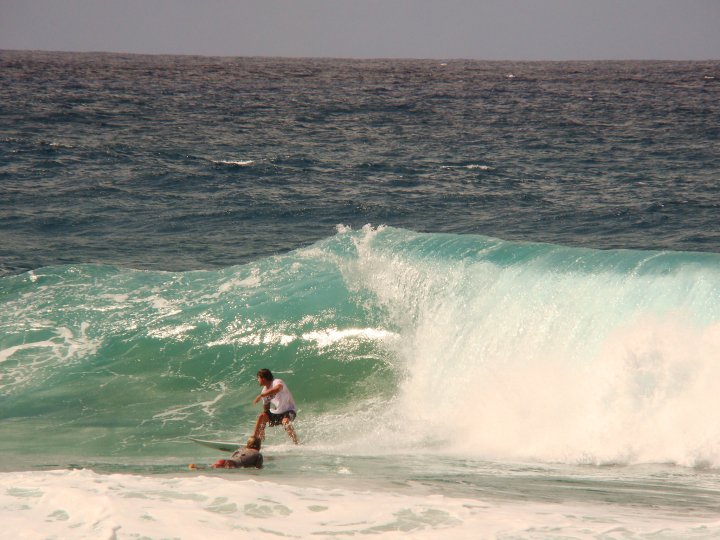 Surfe (Mariana Campos)