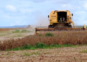 Colheita de soja em Rondonópolis, Mato Grosso, em 2009 (Roosevelt Pinheiro/ABr)
