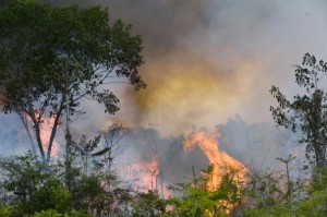 Incêndios na Amazônia coloca o ecossistema em risco (Antonio Scorza/AFP/Getty Images)