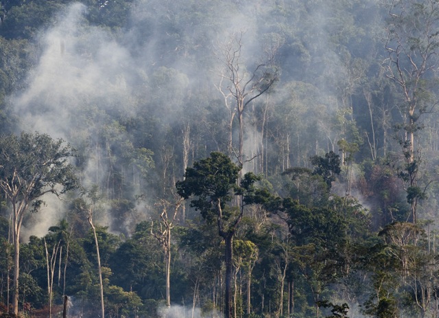 El archivo de imagen de 29 de noviembre 2009 muestra un área quemada de la selva amazónica en el estado de Pará (Antonio Scorza / AFP / Getty Images)