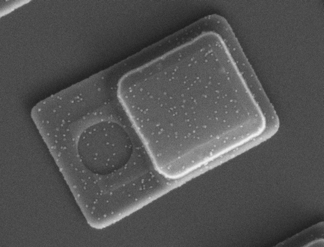 Imagem de um sensor de pressão de silício para aplicações intracelulares (Rodrigo Gómez-Martínez, CSIC)