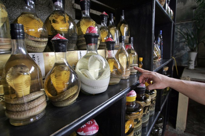 Um cliente escolhe uma garrafa de vinho de cobra num restaurante em Hanói, Vietnã (Maxim Marmur/Getty Images)