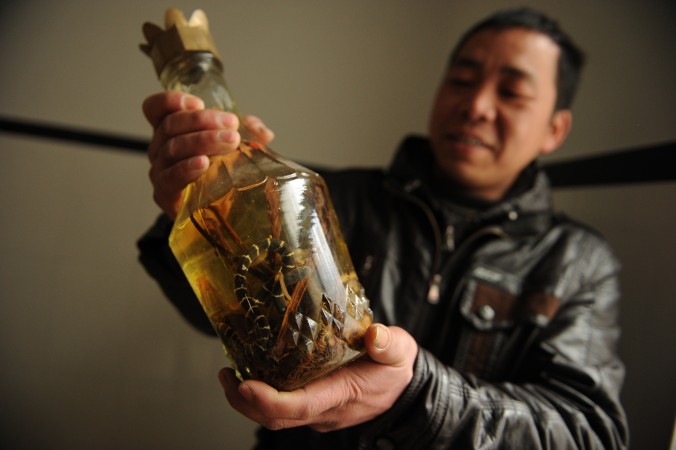 Um chinês exibe uma garrafa de vinho de cobra (Arquivo Epoch Times)