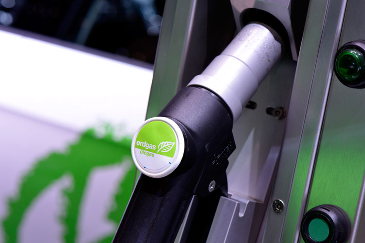 "Biocombustíveis podem ser facilitadores da segurança alimentar", diz professor (Harold Cunningham/Getty Images)