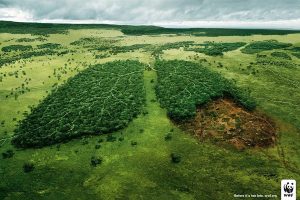 Foto manipulação da campanha do WWF para proteção da Amazônia (Internet)