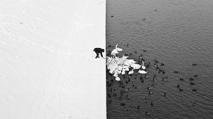 Preto e Branco (Cortesia/Marcin Ryczek)