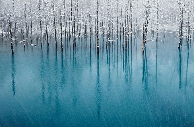 Espelho de gelo (Coretsia/Kent Shiraishi)