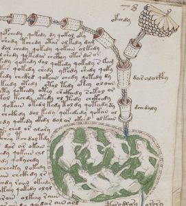 Trecho do Manuscrito de Voynich (Wikimedia Commons)