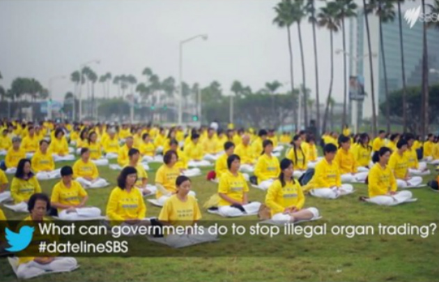 O documentário “Colheita humana: Tráfico de órgãos na China” fez a seguinte pergunta: "O que os governos podem fazer para parar o comércio ilegal de órgãos?" (Minghui.org)