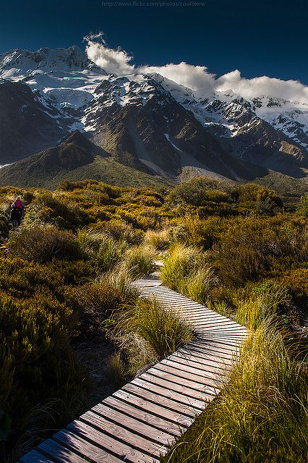 Trilha do Hobbit, Nova Zelândia