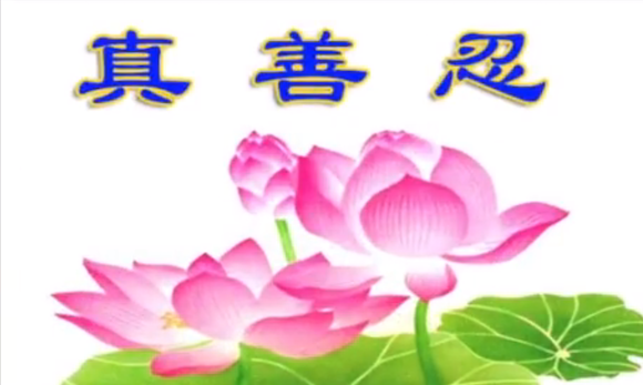 Imagem de flores de lótus com os caracteres chineses de "verdade, compaixão, tolerância”, que Wang Dushan, de 20 anos, compartilhou na internet da China e foi preso (NTDTV / Captura de tela)