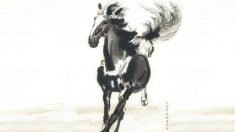 Provérbio: “Procurando um excelente cavalo de acordo com desenhos”