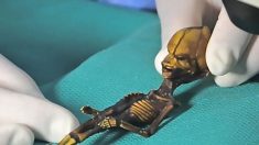 Documentário ‘Sirius’ revela esqueleto de possível alienígena