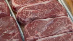 Argentina suspende exportações de carne por 30 dias devido demanda pesada da China