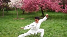 Kung Fu e a essência das artes marciais