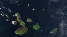 Ilhas Galápagos, um pedaço do Paraíso na Terra