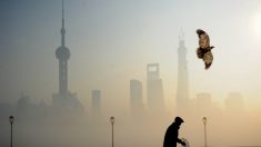 Severa poluição do ar cobre metade da China, 104 cidades afetadas
