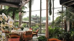 Restaurantes de luxo operam em patrimônios culturais em Pequim