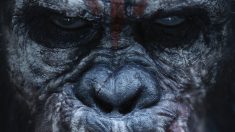 Novo trailer do filme ‘Planeta dos Macacos: O Confronto’