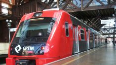 MP-SP denuncia executivos do setor ferroviário por formação de cartel