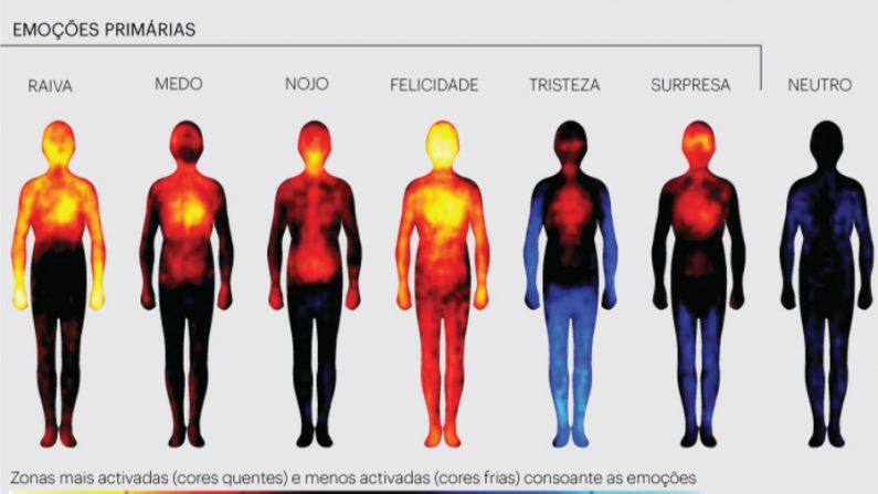 Cientistas registram atividade das emoções no corpo humano