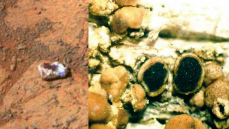 NASA investiga misteriosa rocha em marte