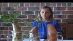 Jovem de nove anos mostra danos dos agrotóxicos em nossa alimentação