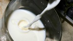 Empresa vai apurar se leite adulterado chegou ao consumidor