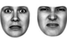 Expressões faciais são guiadas pelas emoções, afirma especialista