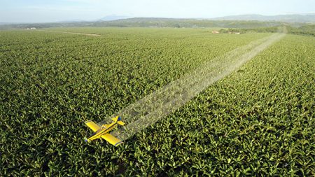Agropecuária pode faturar R$ 703,8 bilhões em 2020, diz ministério
