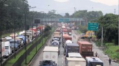Bolsonaro sanciona Lei que altera Código de Trânsito