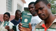 Indícios de que haitianos podem votar nas eleições de 2014