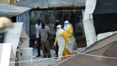 Epidemia de ebola na África Ocidental está ‘fora de controle’, diz ONG