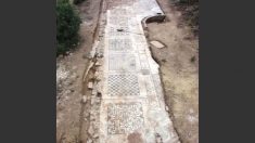 Surpreendente mosaico romano foi encontrado na Turquia