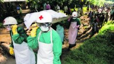 Médicos Sem Fronteiras alerta: epidemia de ebola está fora de controle