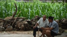 Suicídio de idosos dispara no meio rural da China