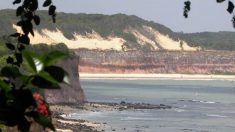 Praia da Pipa: destino certo para amantes da natureza