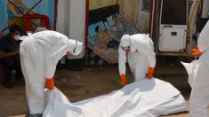 OMS pede US$ 1 bilhão para combater epidemia de ebola