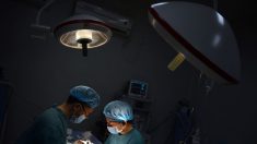 Este transplante de órgãos na China é uma real história de horror