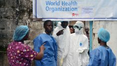 Surto de ebola é “a maior emergência” e mostra mundo mal preparado, diz OMS