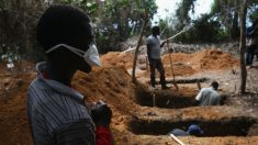 Diretor da OMS admite falta de financiamento para combater epidemia de ebola na África