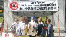 Austrália coleta assinaturas pelo fim da extração ilegal de órgãos na China