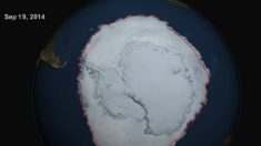 Mar congelado bate recorde em superfície na Antártica