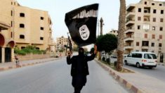 Trump chama jihadistas de perdedores e comemora fim do califado do EI