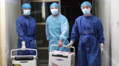 Excesso de transplantes de órgãos na China comprova assassinatos