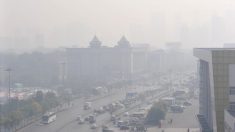 Poluição atmosférica mata florestas da China e pode afetar outros países
