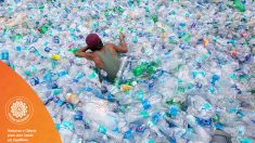 O segredo do plástico: TPM é a ponta do iceberg