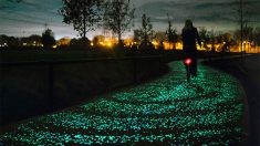 Inspirada em Van Gogh, Holanda faz primeira ciclovia que brilha no escuro