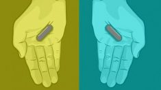 Cinza ou azul e vermelho? A cor dos comprimidos é o último debate on-line